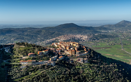 Green City screenshot 1