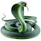 green cobra wallpaper logo