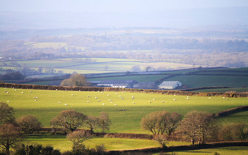 Green countryside screenshot 1