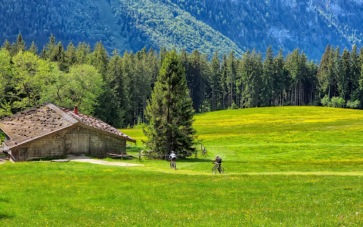 Green countryside scene screenshot 1