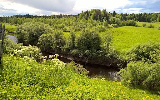 green forest screenshot 1