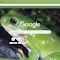 Green Frog logo