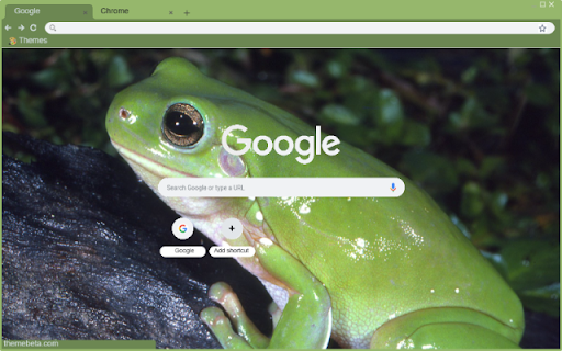 Green Frog screenshot 1