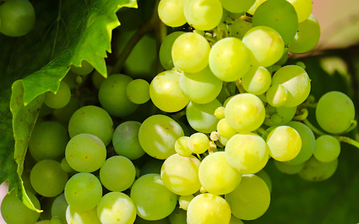 Green Grapes screenshot 1