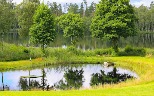 Green grass lake screenshot 1