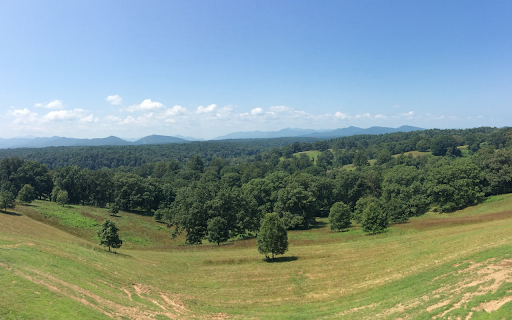 Green hills screenshot 1