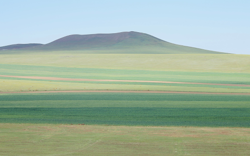 green meadows screenshot 1