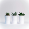 Green Plant In White Ceramic Pot logo