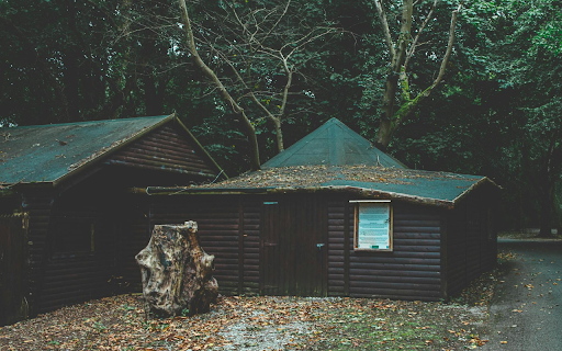 Green Roof Wooden House screenshot 1