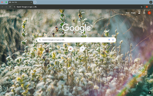 Green trees in the sun screenshot 1