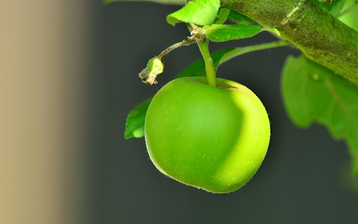 Green young apple screenshot 1