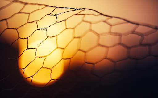 Grid and sunset screenshot 1