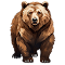 grizzly bear logo