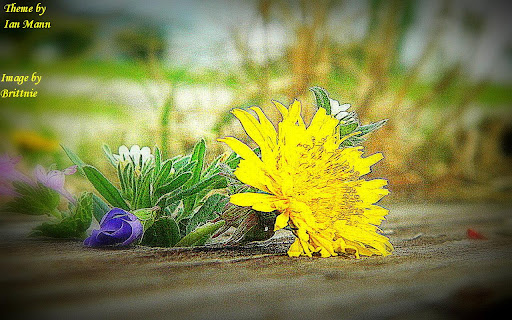 Ground Flower screenshot 1