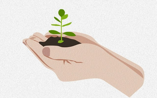 GROW Theme screenshot 1