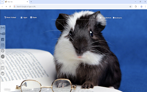 Guinea Pig Wallpaper screenshot 1