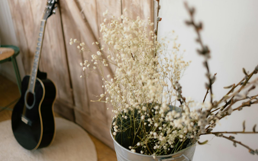 Guitar and Flowers screenshot 1