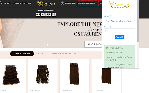 Hair Extensions screenshot 1