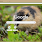 Hamster Hoang logo