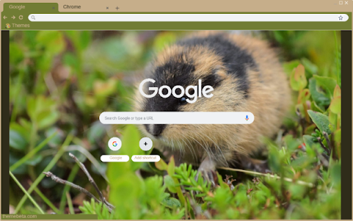 Hamster Hoang screenshot 1