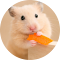 Hamster Wallpaper logo