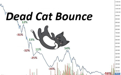 Hanghoaphaisinh247 screenshot 1