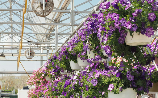 Hanging Flower Baskets screenshot 1