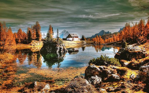 Harmony with nature screenshot 1