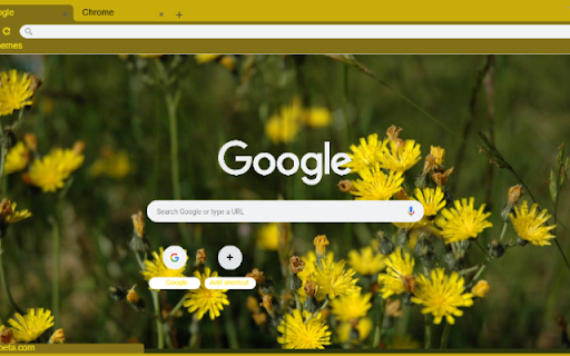 Hawkweed screenshot 1