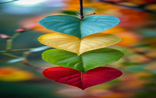 heart leaf wallpaper screenshot 1