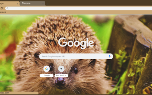 Hedgehog screenshot 1