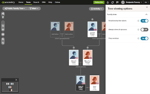 Heraldry screenshot 1