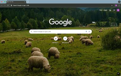 herd of goats and mountains screenshot 1