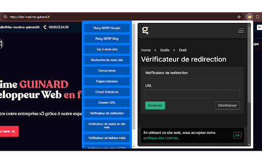 Herramientas para analizar motores de búsqueda 🔎 screenshot 1