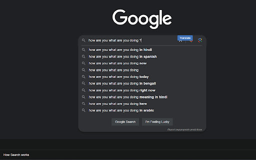 Hindi to English Translator screenshot 1