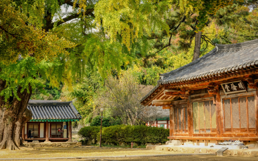 Historical Academy Grounds in Autumn screenshot 1
