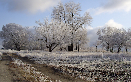 Hoarfrost Landscape screenshot 1