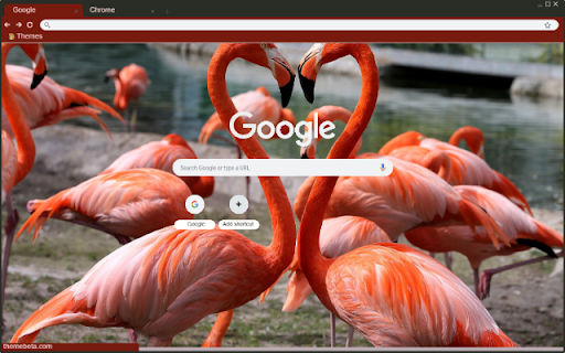 Hong hac screenshot 1