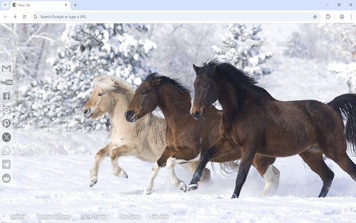 Horse Wallpaper screenshot 1