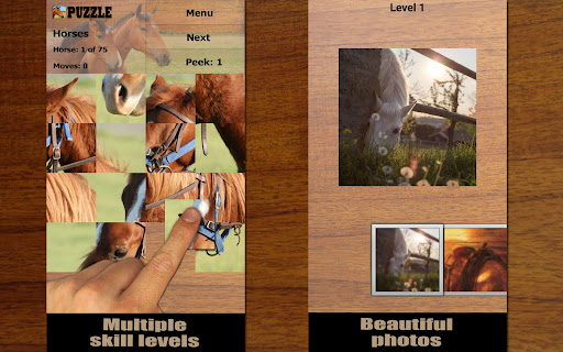 Horses Puzzle screenshot 1