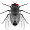 house fly wallpaper logo