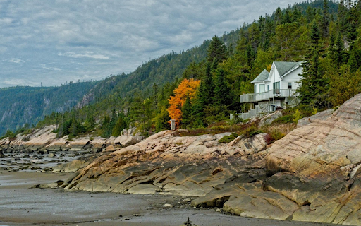 House in the middle of nature screenshot 1