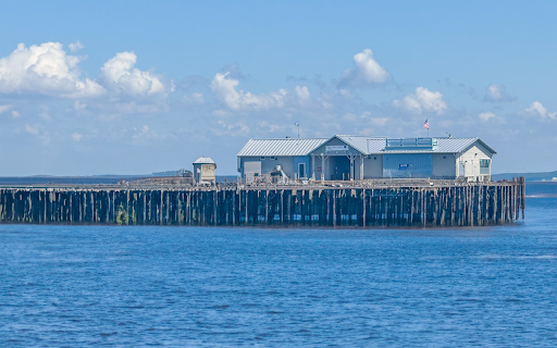 House on the blue sea screenshot 1