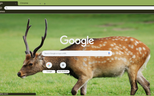 Huou Sao screenshot 1