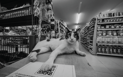 iCheckQR screenshot 1