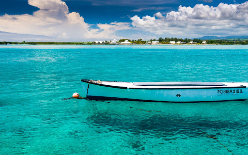 Idyllic Tropical Waters screenshot 1