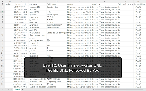 IG Followers Exporter screenshot 1