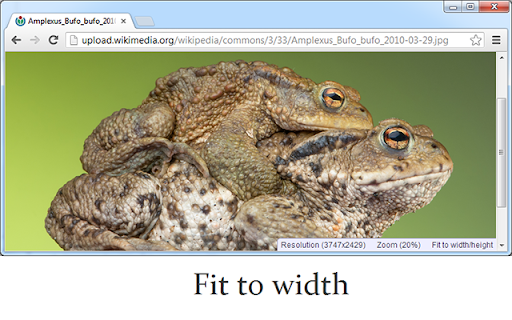 Image Autosizer screenshot 1