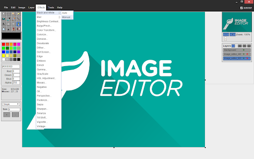 Image editor screenshot 1