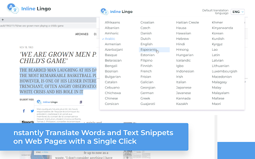 Inline Lingo Translator screenshot 1